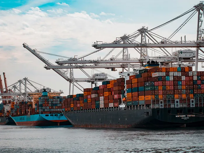 Import — Export